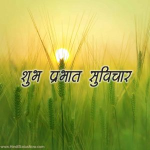 शुभ प्रभात सुविचार | Good Morning Quotes in Hindi