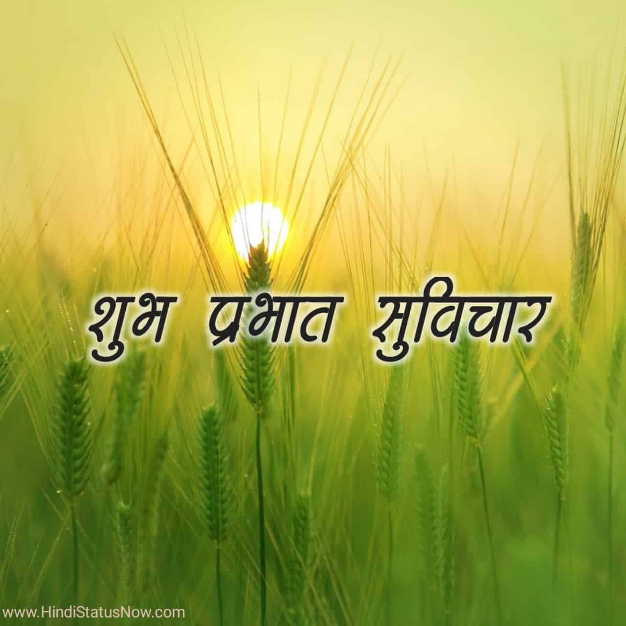 शुभ प्रभात सुविचार Good Morning Quotes in Hindi