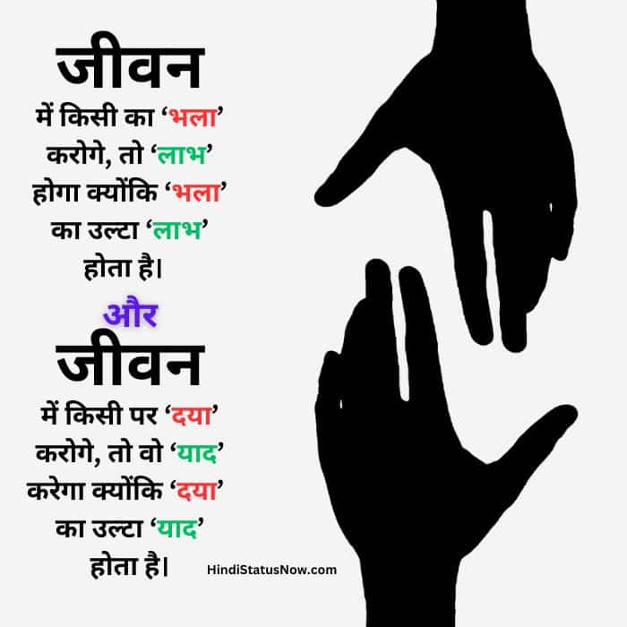 True lines about life in hindi