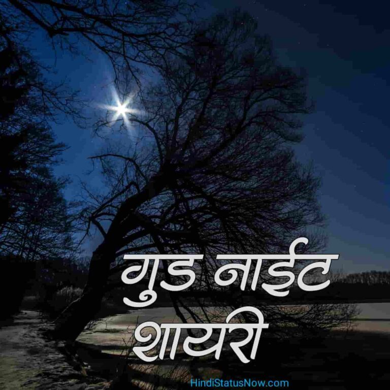गुड नाईट शायरी | Good Night Shayri In Hindi
