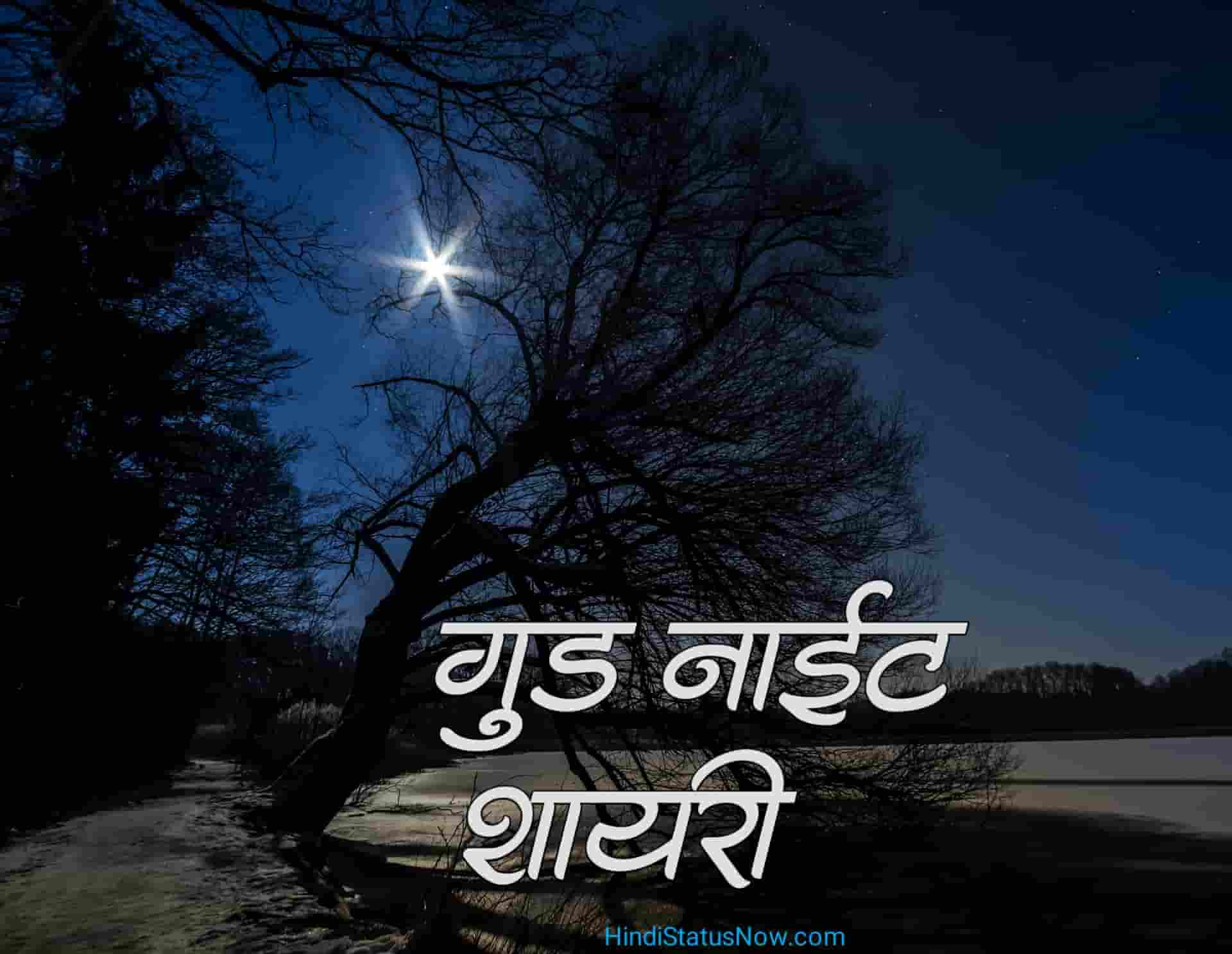 गुड नाईट शायरी | Good Night Shayri In Hindi