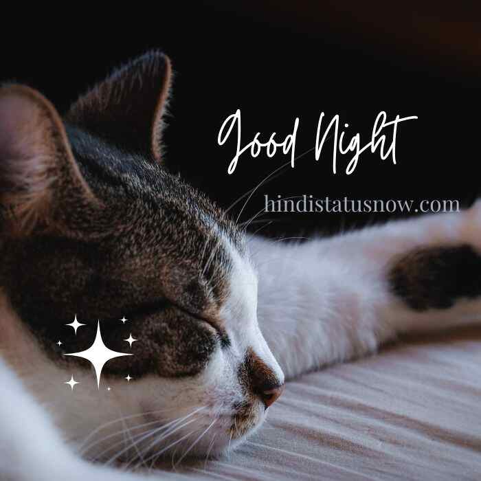 Good Night Images In Hindi