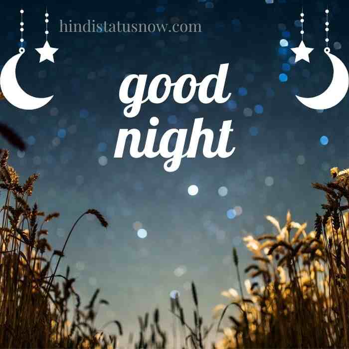 good night hindi quotes