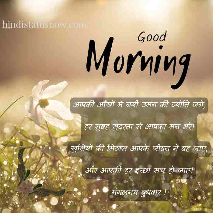 Wednesday Morning Wishes In Hindi